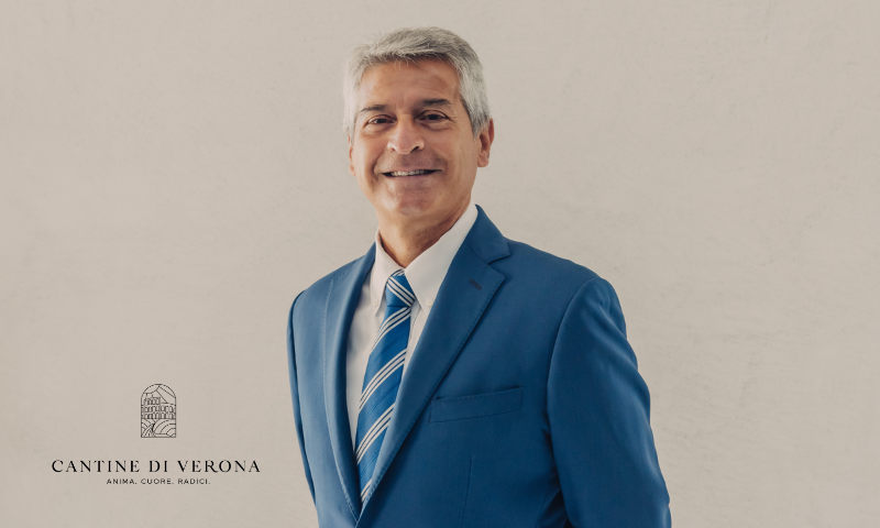 Cantine di Verona bilancio 2024