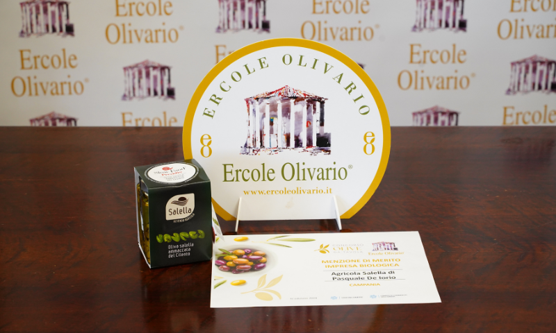 “Ercole Olivario – Sezione Olive da Tavola” 2024