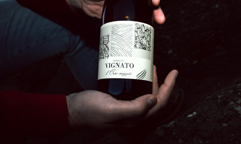 L’Orso gentile inaugura la nuova linea cantina Vignato