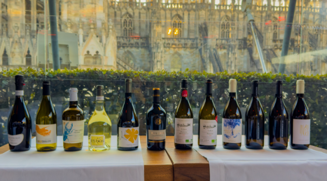 10 SHADES OF PECORINO GRAPES