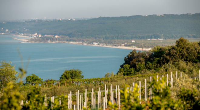 Abruzzo alla Slow Wine Fair 2025
