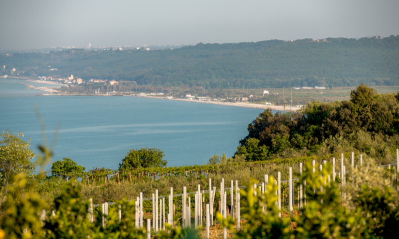 Abruzzo alla Slow Wine Fair 2025