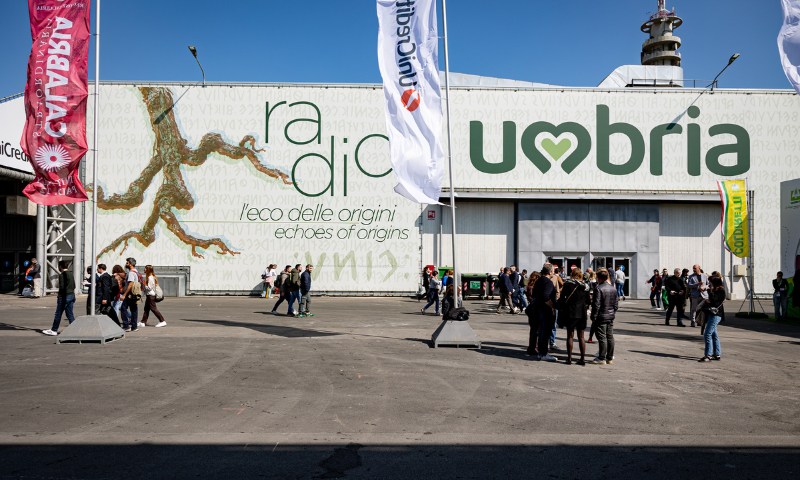 UMBRIATOP VINITALY ’25: RADICI PROFONDE, VISIONE CONDIVISA