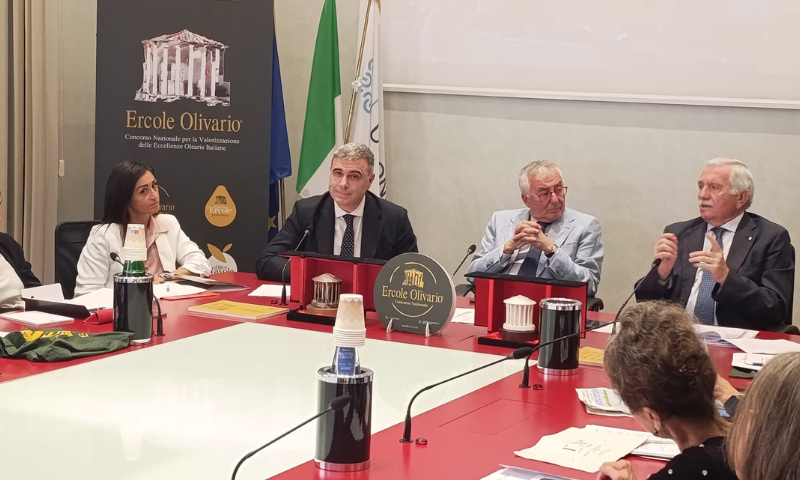 Ercole Olivario un progetto di sistema per la valorizzazione delle Eccellenze Olearie italiane 