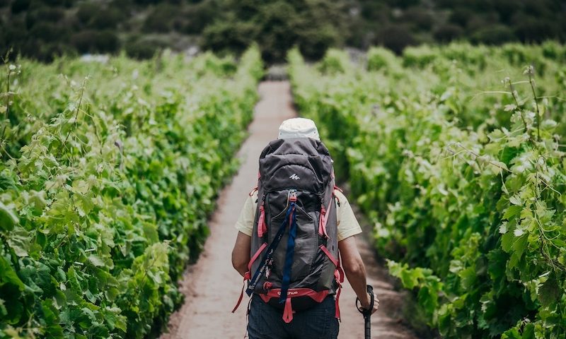 I Sentieri del Carignano debuttano al Vinitaly